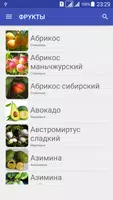 Фрукты.Большая Энциклопедия poster