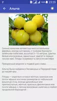 Фрукты.Большая Энциклопедия screenshot 1
