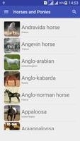 Horse breeds Cartaz