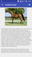 Horse breeds 스크린샷 1