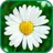 Лекарственные травы и растения APK