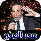 اغاني سعد الصغير mp3 بدون نت ícone