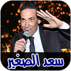 اغاني سعد الصغير mp3 بدون نت icône