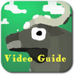 Video Guide for Rodeo Stampede