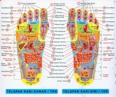 Pijat Refleksi Kaki 스크린샷 2