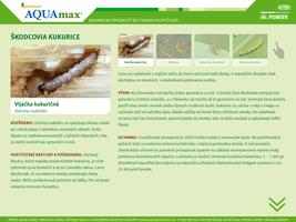 Kukurice Optimum® AQUAmax® screenshot 1