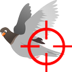 Bird's Shoot