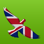 Birds of Britain and Ireland آئیکن