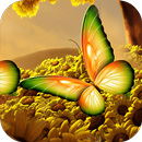 Butterfly Frames Photo Effects APK