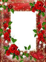 Flower Frames Photo Effects Screenshot 3