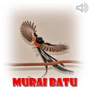 Audio Murai Batu Gacor APK