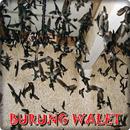 Kicau Burung Walet APK