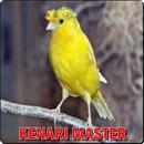 Masteran Kenari Offline APK