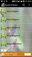 Sound of Stone Magpie 포스터