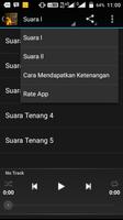 Suara Ketenangan screenshot 2
