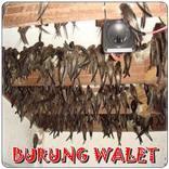 ”Pemanggil Walet Mp3