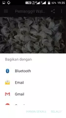 Pemanggil Walet Mp3 APK download