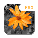 Color Splash -Photo Editor Pro APK