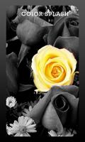 Color Splash -Photo Editor Pro Screenshot 1