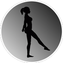 Spinning Dancer Illusion APK
