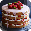Cake Recipe In Gujrati 2017 APK