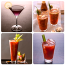 50+ Cocktail Recipes In English APK