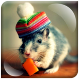 Funny Mouse Runs Cheese LWP