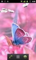 pink butterfly wallpapers screenshot 1