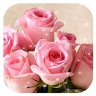 Pink Rose Flower Romantic Theme icône
