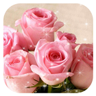 Tema Rosa Romântica Flor Rosa ícone
