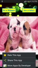 Pink Girly Wallpapers APK download