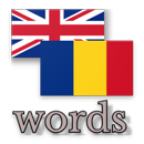 pratique les mots roumains APK