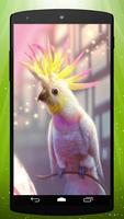 Pink Parrot Live Wallpaper Affiche