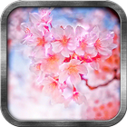 Pink Sakura Live Wallpaper icône