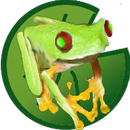 Tina, igel jauzia APK