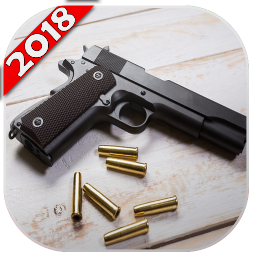 Gun soa toques 2017