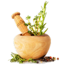 Natural Medicines from Plants APK