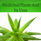 Medicinal Plants and Its Uses icône