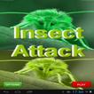Insects Invasion