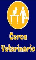 Cerca Veterinario 海報