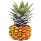 Guide Grow Pineapple أيقونة