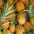 Pineapple Zeichen