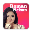 Sinopsis Roman Picisan