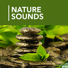 1000 Nature Sleep Relax Sounds Zeichen