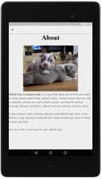 Pitbull Dog Training Guide स्क्रीनशॉट 2