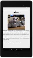 Pitbull Dog Training Guide screenshot 2