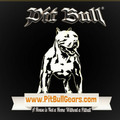 Pitbull Gears