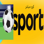 الكوره في الملعب