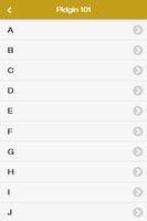 Pidgin 101 Pro screenshot 1