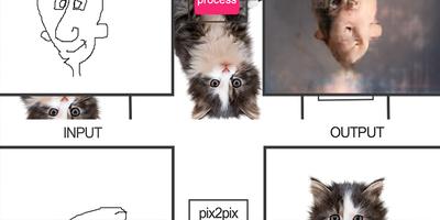 pix2pix cats Screenshot 1